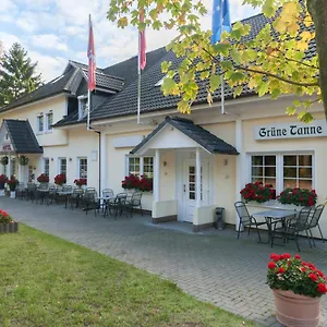 Gruene Tanne Hamburg